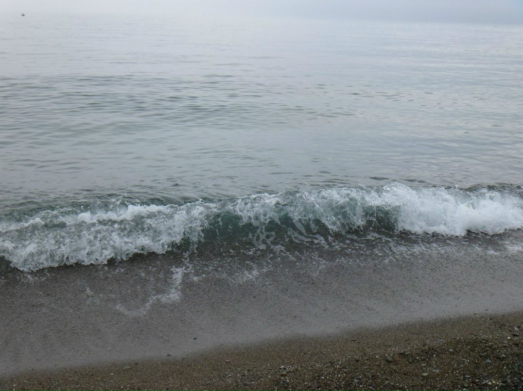 Евгений Коваль | Киев