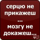Фотография Дмитрий Кобелев