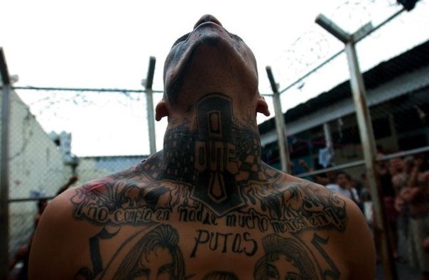 Марат Музафаров | Montego Bay