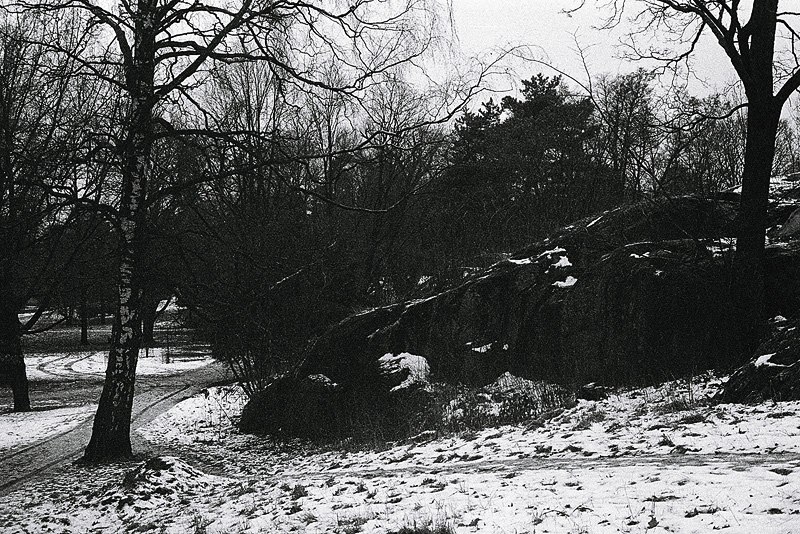 Артем Кривополенов | Архангельск