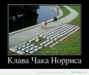 Фотография Роман Кабанов