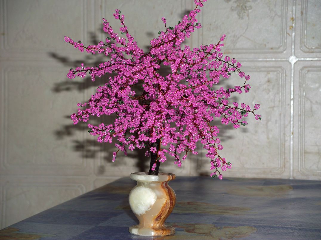 Алексей Рязанов | Паша