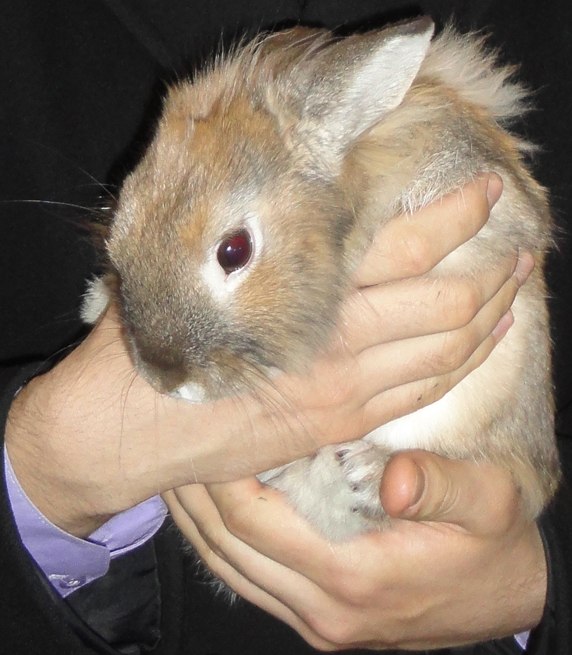 Xtoto Xtoto xtoto | Киев