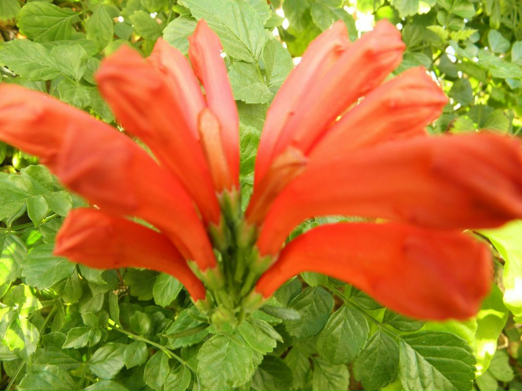 Зоя Мартынюк | Одесса