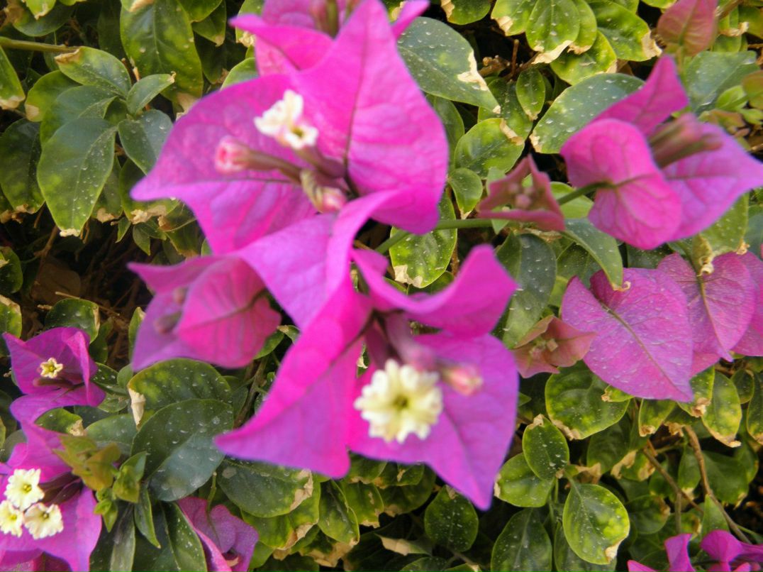 Зоя Мартынюк | Одесса