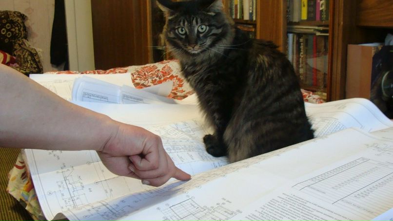 Юрий Кузнецов | Нижний Тагил