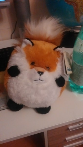 Лисичка Козаченко, Россия, Москва