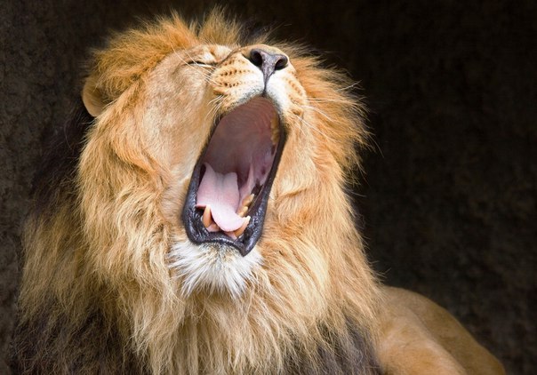 Николай Елисеев, Россия, Лениногорск