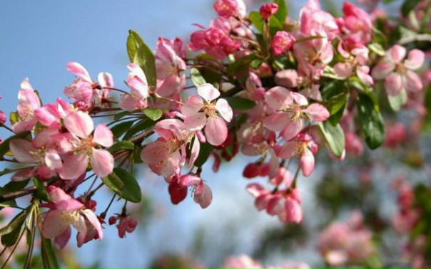 Галина Архипова, Россия, Альметьевск