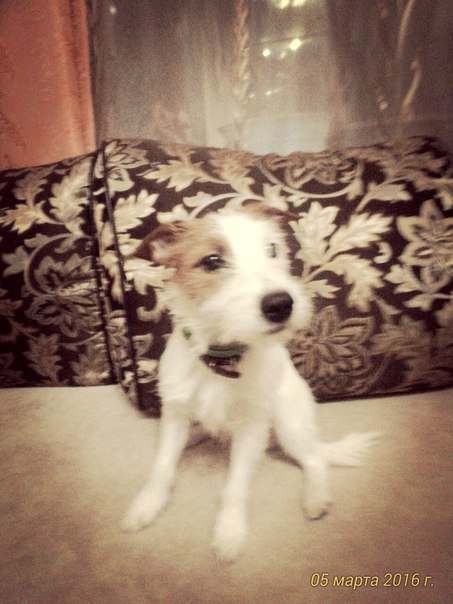 Анатолий Лобанов, Россия, Архангельск