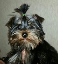 Елена Иванова