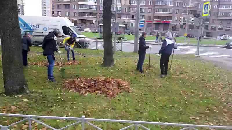 школьники