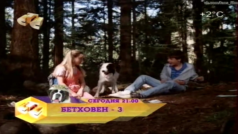 Собачий секрет, Spot Marks the X