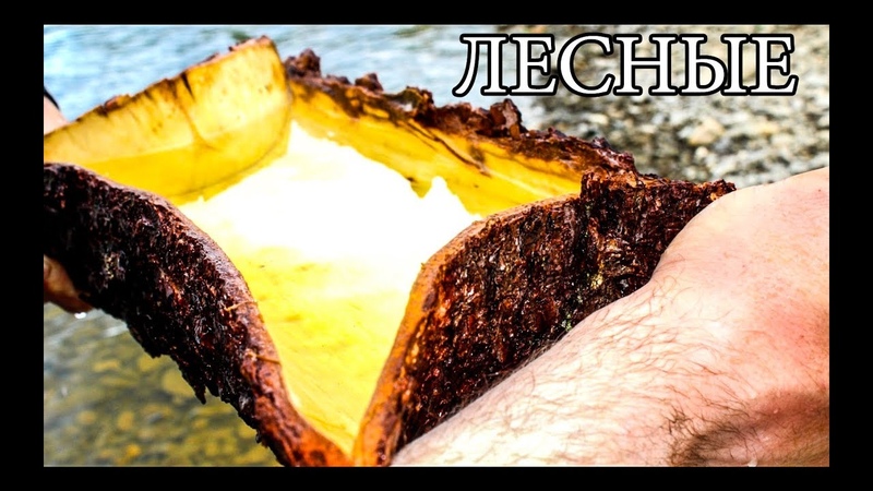 7 ПРОСТЫХ СОВЕТОВ ДЛЯ ЛЕСА | 7 BUSHCRAFT TIPS