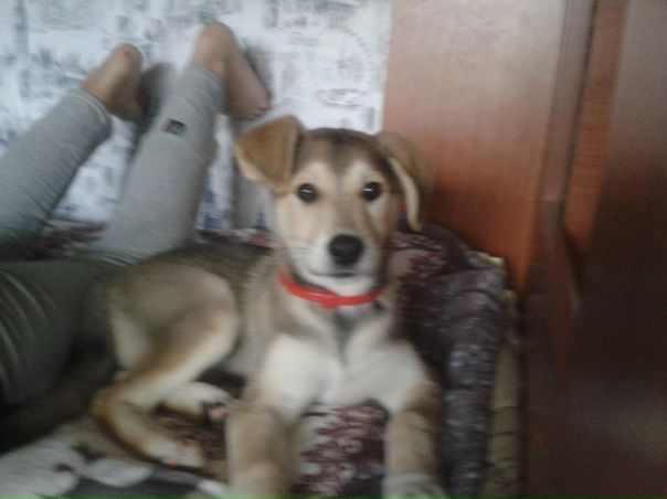 Костя Кольцов, Россия, Великий Новгород