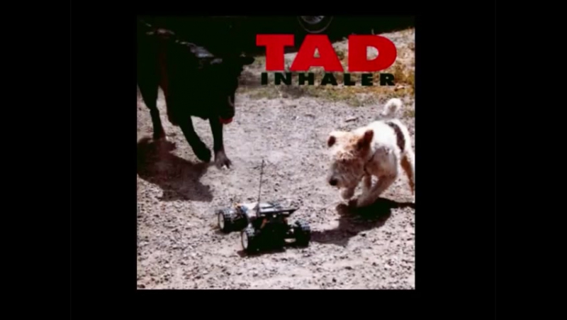 TAD