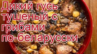 Рецепты из гуся - как приготовить гуся пошаговый рецепт - Дикий гусь тушеный с грибами по-беларусски