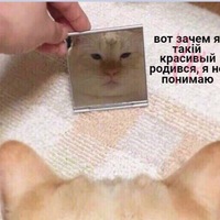Максим Терещенко