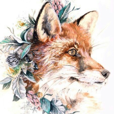 Лиза Журавлёва, Россия, Киров