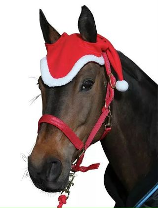 попона гуччи конная. красная амуниция для лошади. новогодняя амуниция. новогодняя амуниция. красная амуниция для лошади.