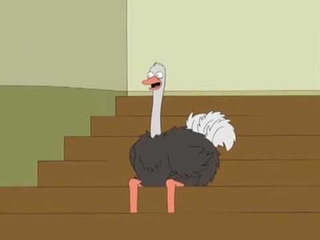 Forum Weapon Tv   Family Guy   Ostrich Laugh