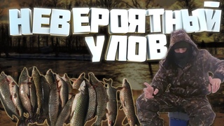 НЕВЕРОЯТНЫЙ УЛОВ | Конкурс внутри