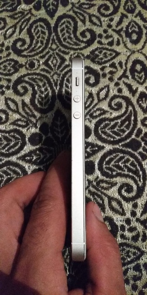 Apple iPhone 5s