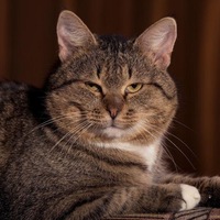 Илья Сергеевич