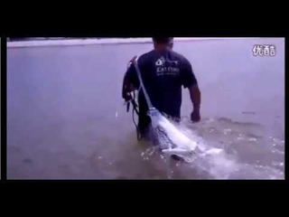 Огромный улов кастинговой сетью!