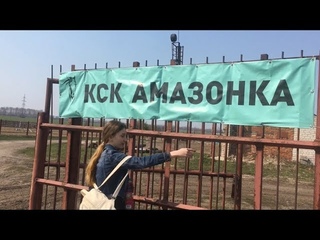 Новый конь?!//КСК «Амазонка»// VLOG