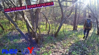 Заблудились в лесу. В описках голавля