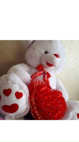 Ayiqchalar rasmlari: фотографии в высоком качестве