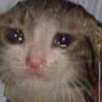 Вера Долгова | 