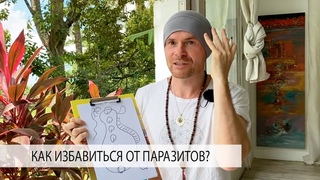 Как Люди Продают Свою Душу Лярвы, Бесы, Гады, Черти, Мафлоки, Паразиты