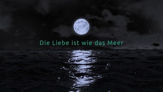 XALTUS   Digital Marketing Video Inspiration   Die Liebe ist wie das Meer