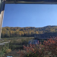 Елена Порозова | Новосибирск