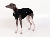 Левретка в одежде. Одежда для левретки dw. Попона догмода бостон. Комбинезон для тедди. Dw одежда.