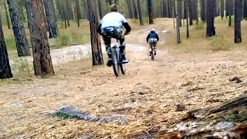 День BMXера На велосипедах по лесу на большой скорости или