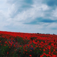 Нина Миллер | Berlin