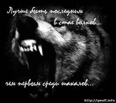 №119, Алексей Шаповал, 34 года, Полтава №119, Алексей Шаповал, 34 года, Полтава