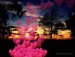 Яна Крутилевич фотография #50
