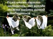 №5 Оксана Сычёва : профиль, фото, статус - ВКонтакте