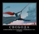 Фотография Phoenix Guru