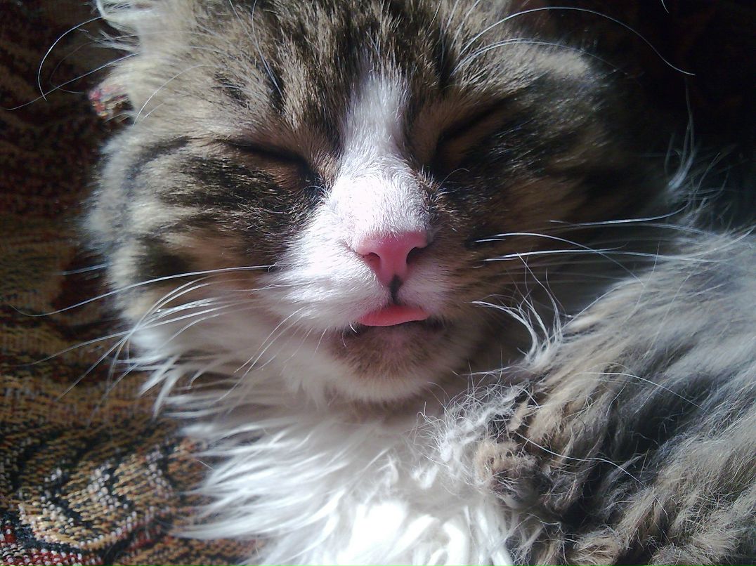 Дмитрий Гузь | Серпухов