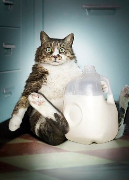 №11, Александра Чумак, Воронеж №11, Александра Чумак, Воронеж