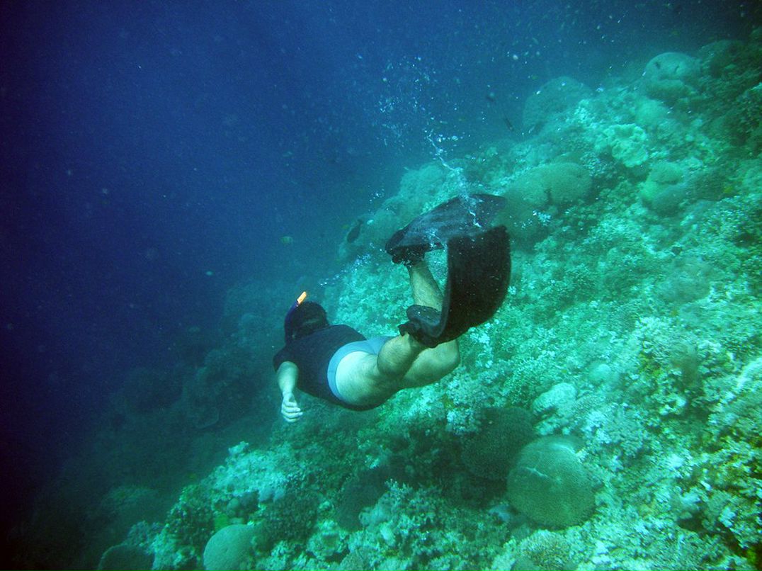 Александр Феликов | Новосибирск