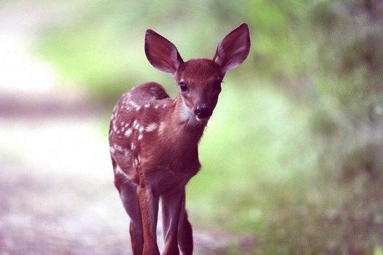 Ксения Бабаян | Москва