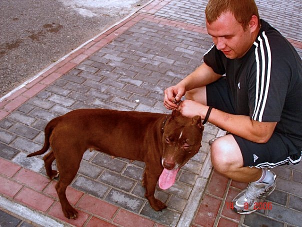 №11, Боря Хороший, 40 лет, Тосно №11, Боря Хороший, 40 лет, Тосно