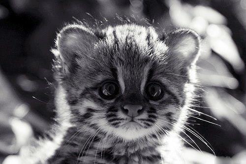 Назира Ниязова | Омск