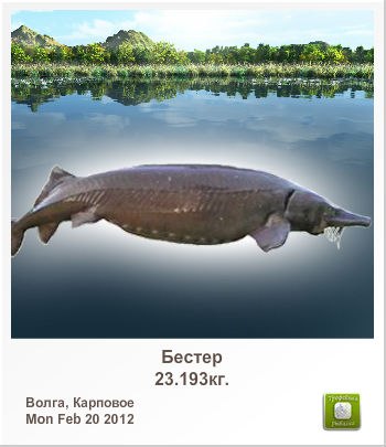 Ingutia Kieraite | Elektrėnai